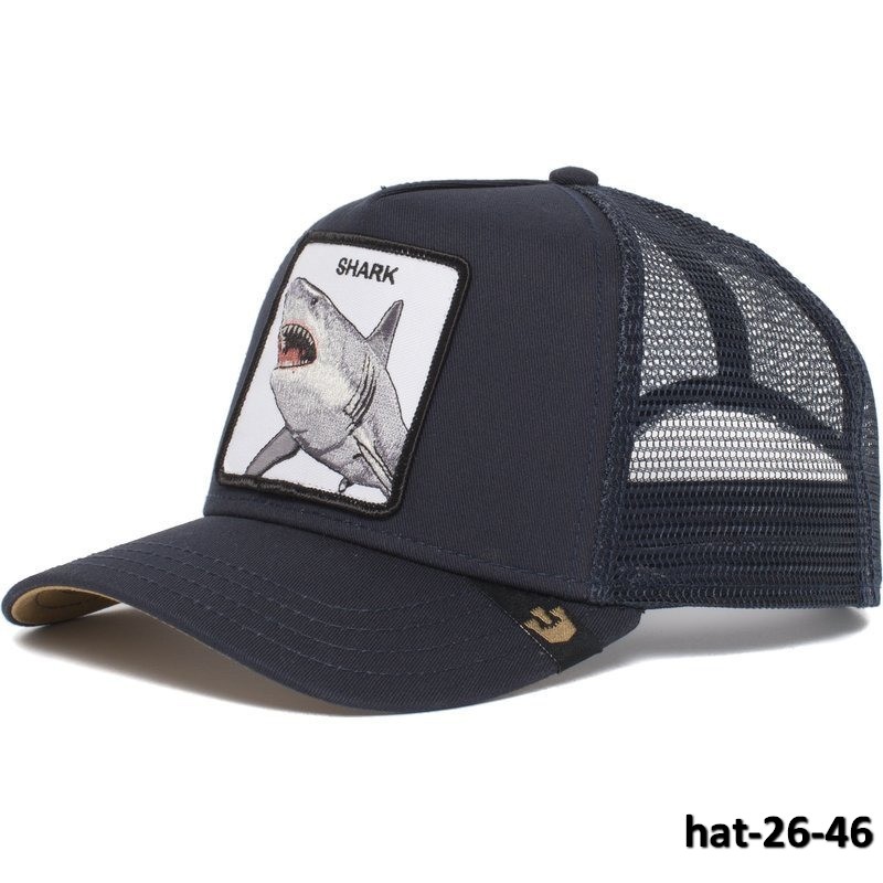 hat-26-46