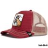 hat-26-6