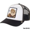 hat-26-61