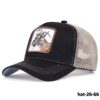 hat-26-66