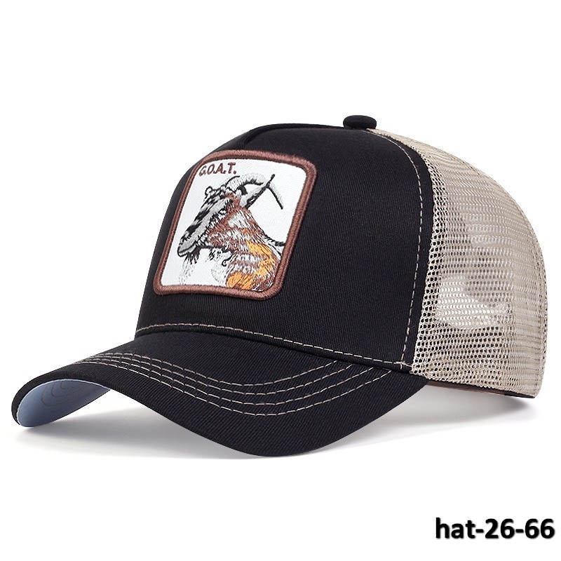 hat-26-66