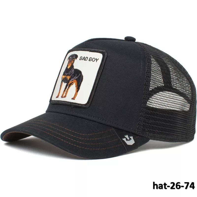hat-26-74