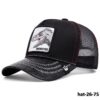 hat-26-75