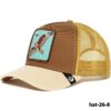 hat-26-8