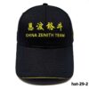 hat-29-2