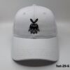 hat-29-6
