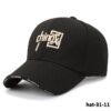 hat-31-11