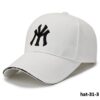 hat-31-3