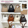 whbb-254-1