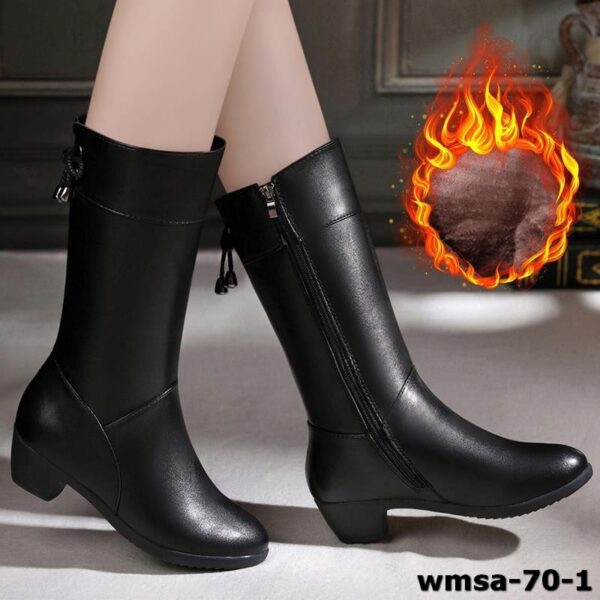 wmsa-70-1
