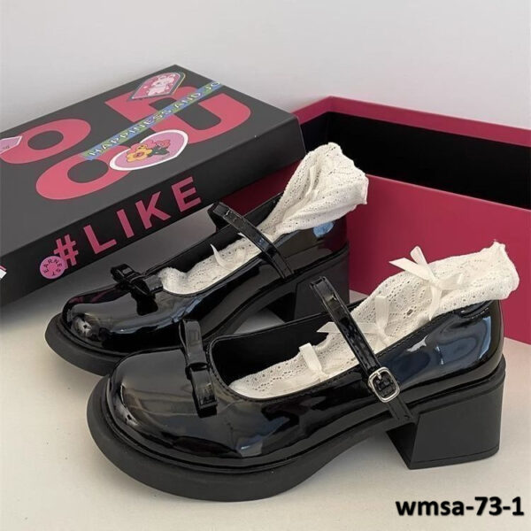 wmsa-73-1